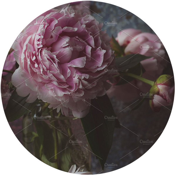 Custom<br>Crafted<br>Websites